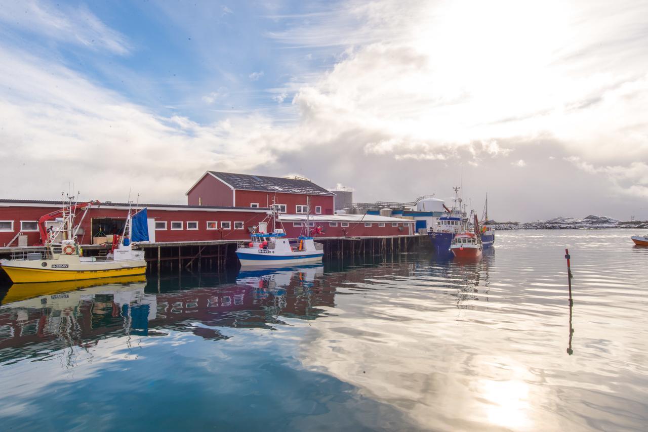 Hattvika Lodge Ballstad Bagian luar foto